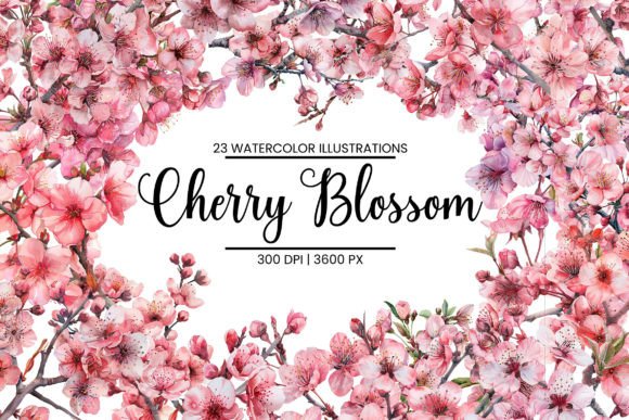 Download Watercolor Cherry Blossom Illustrations - Blossom illustrations Collection